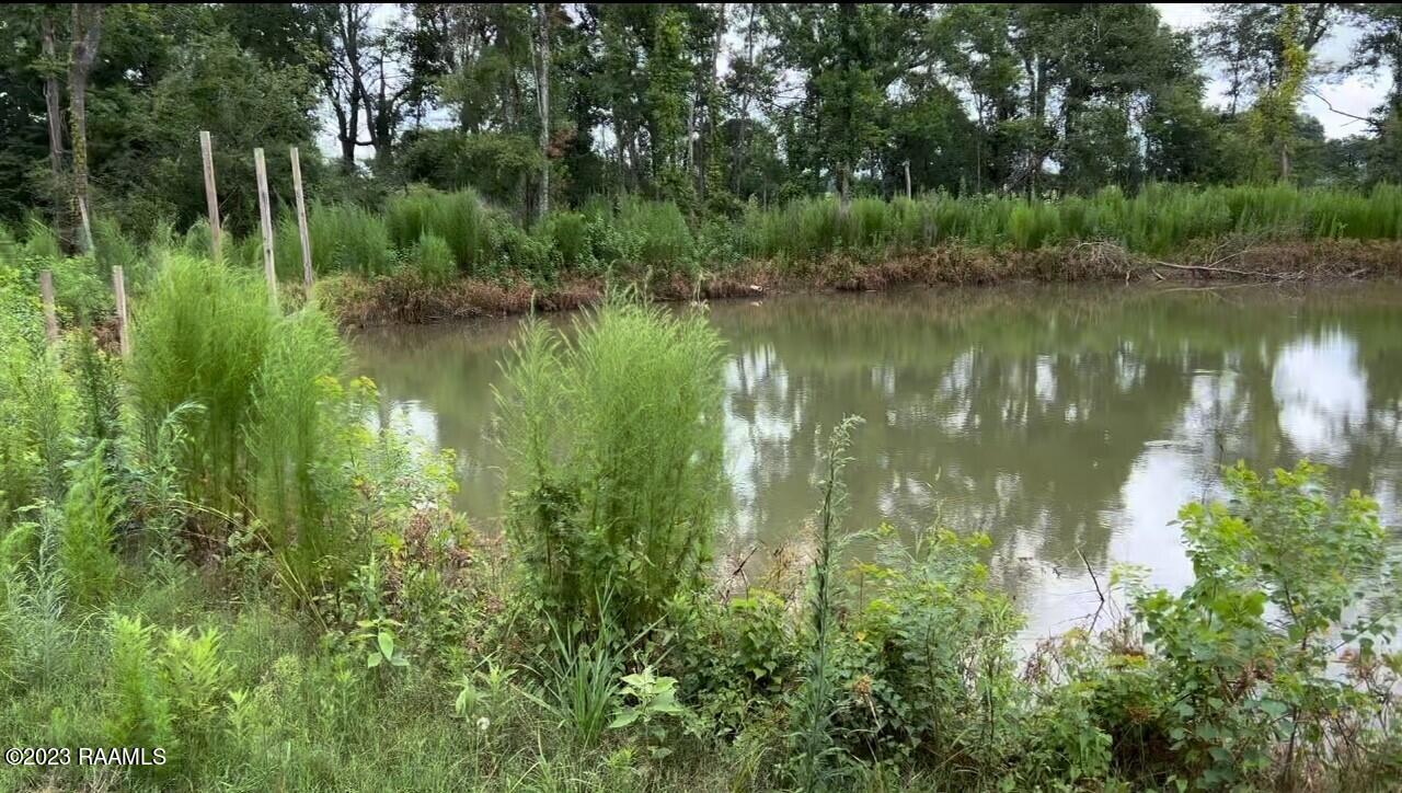 903 Benoit Road Carencro, LA 70520 - Photo 13 of 14 Gallery Image 13