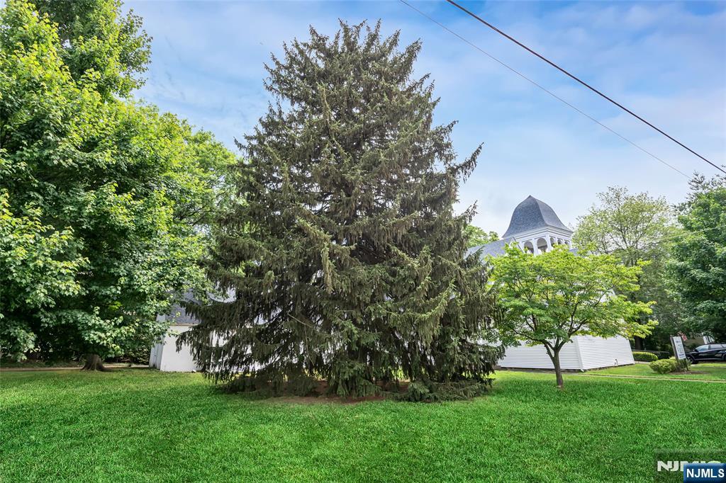 283 Harrington Avenue Closter, NJ 07624 - Photo 6 of 17 a view of green field with plants and trees