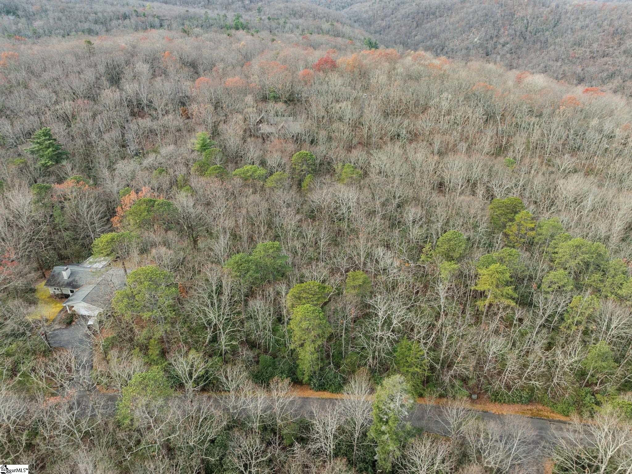 0 Conifer Falls Road Cleveland, SC 29635 - Photo 12 of 23