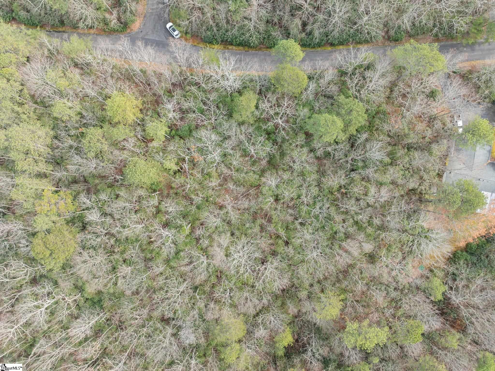 0 Conifer Falls Road Cleveland, SC 29635 - Photo 13 of 23