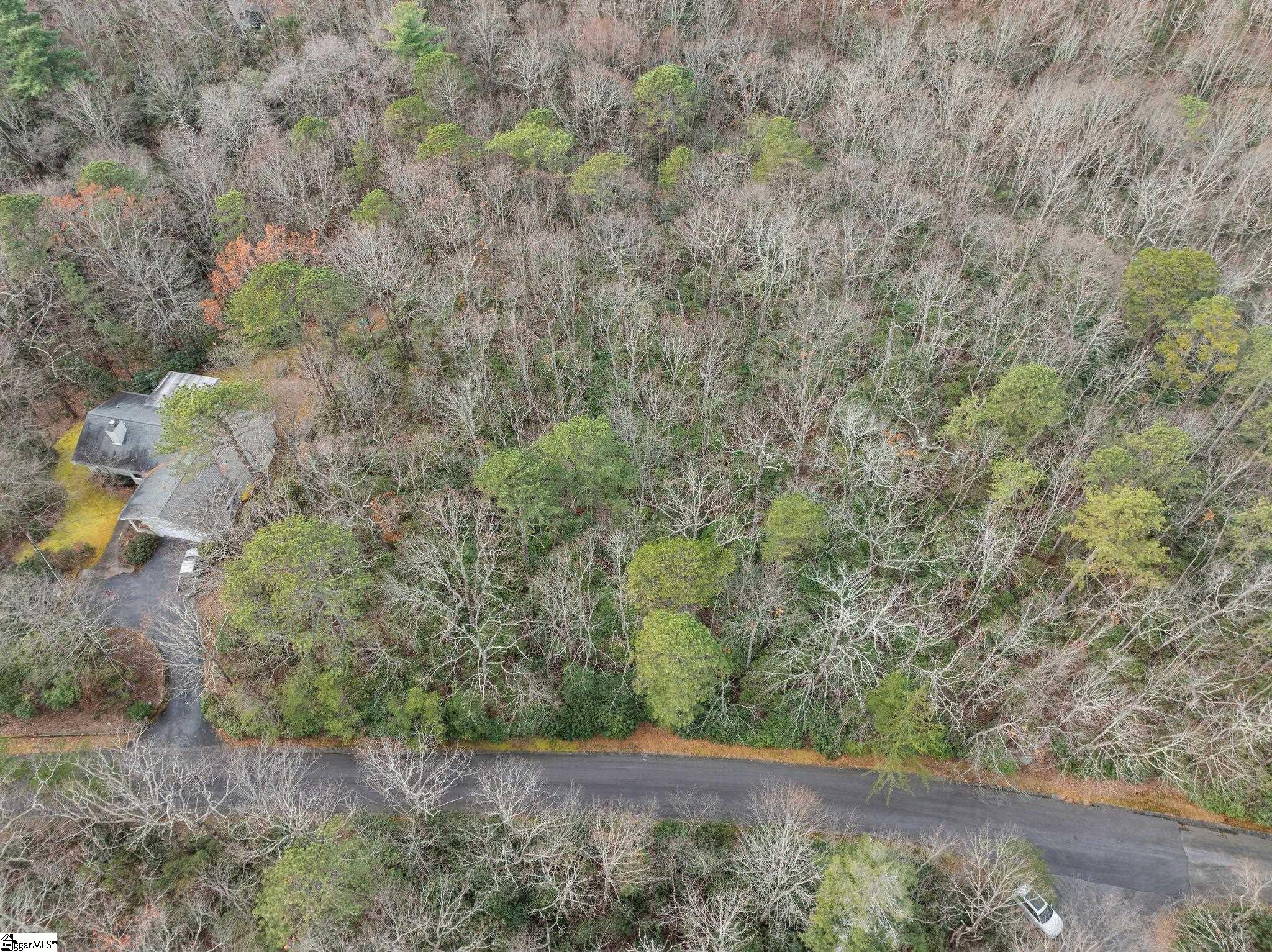 0 Conifer Falls Road Cleveland, SC 29635 - Photo 14 of 23