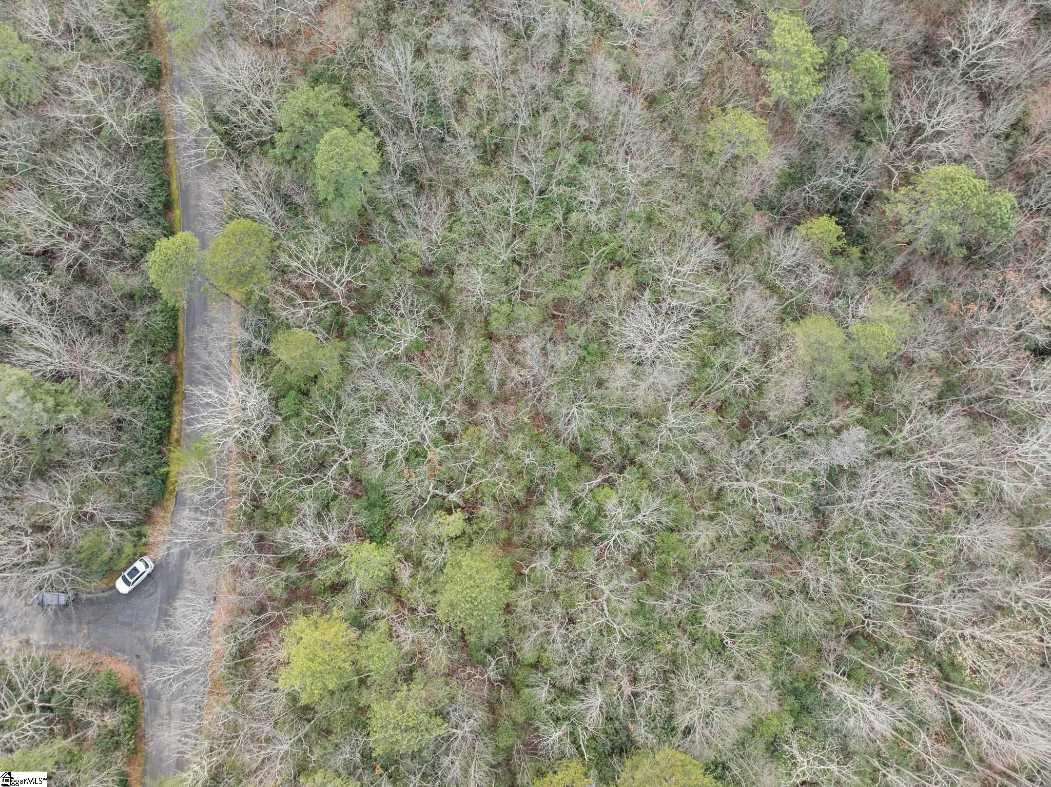 0 Conifer Falls Road Cleveland, SC 29635 - Photo 15 of 23