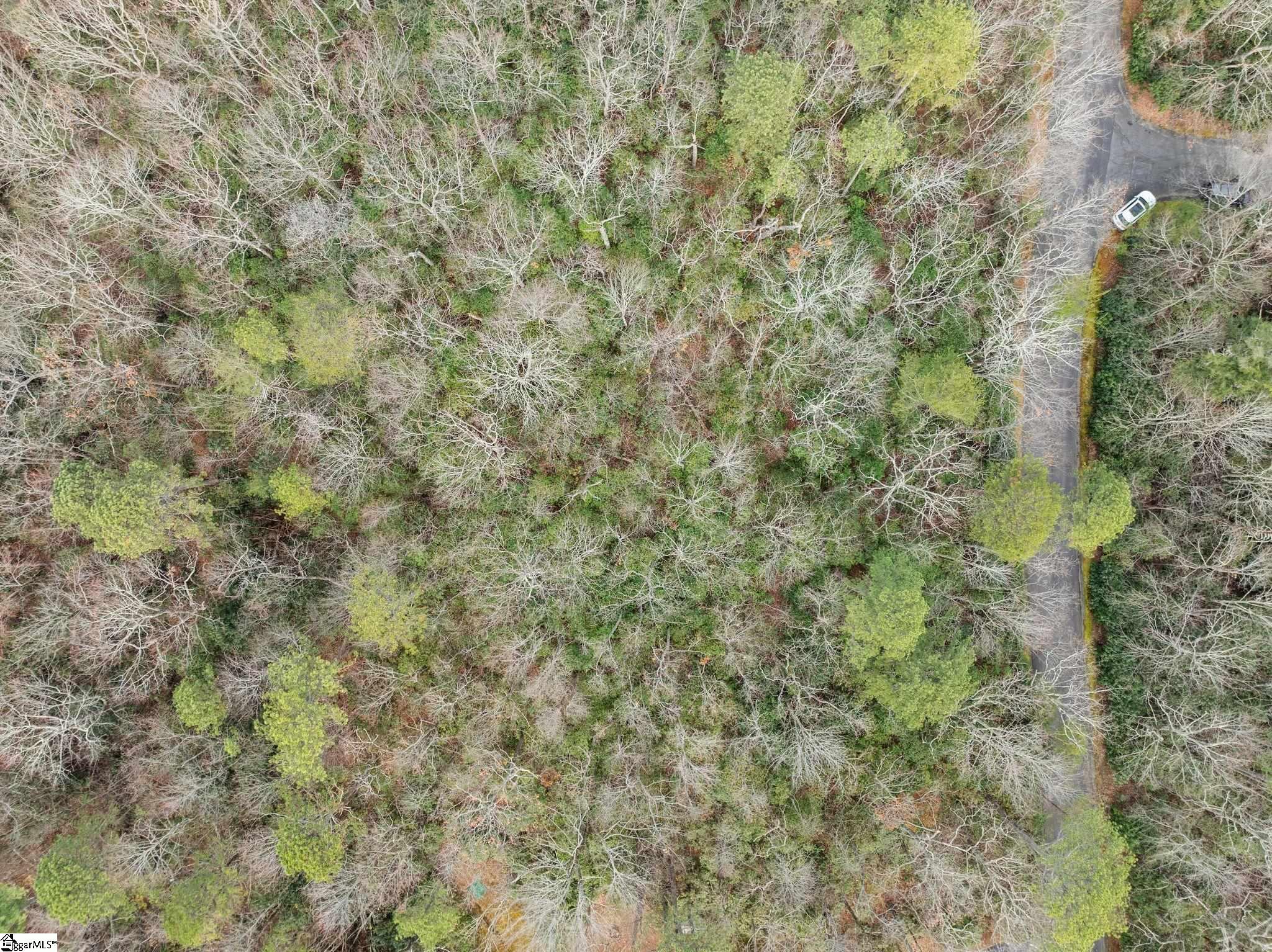 0 Conifer Falls Road Cleveland, SC 29635 - Photo 16 of 23