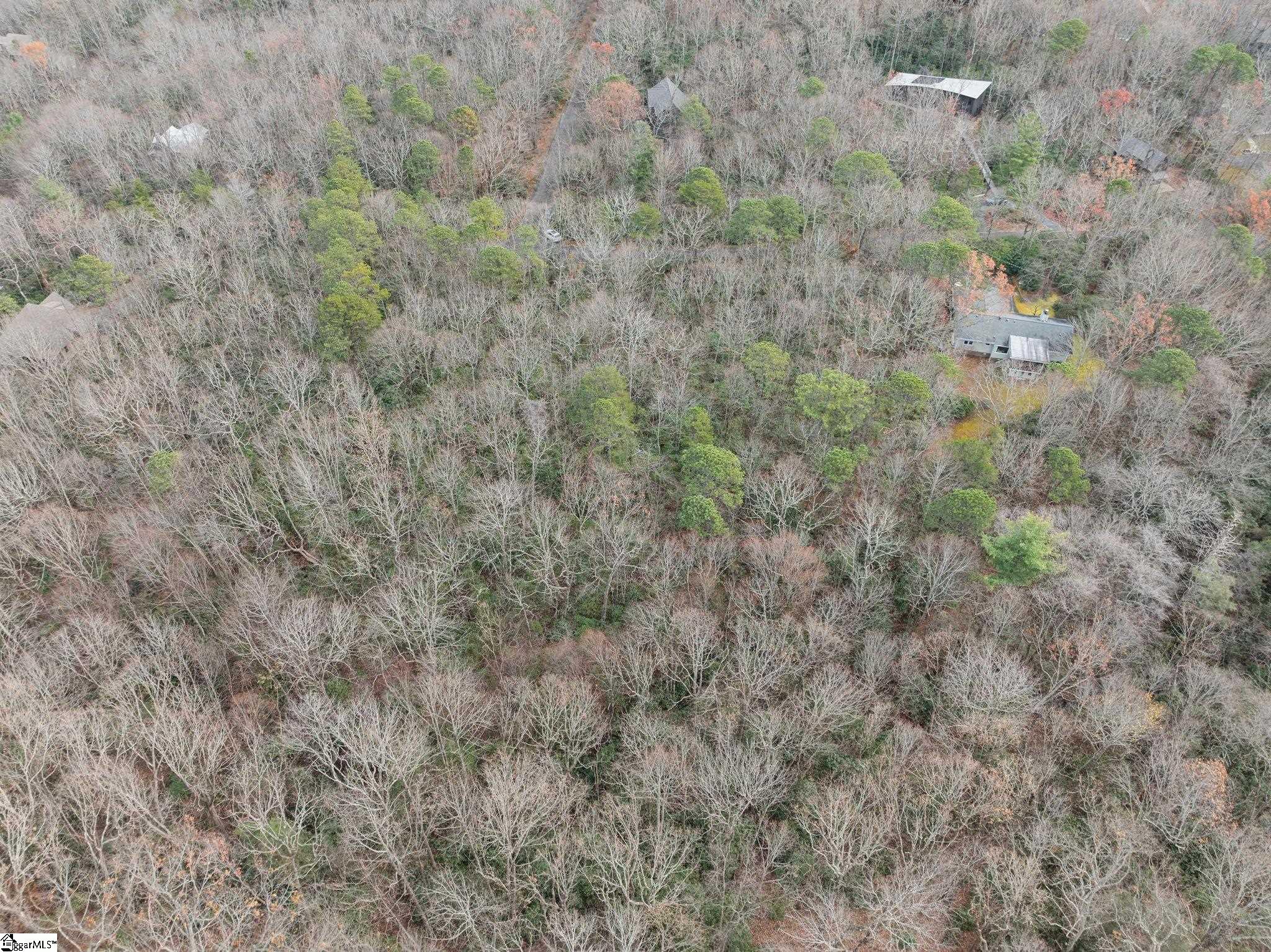 0 Conifer Falls Road Cleveland, SC 29635 - Photo 17 of 23