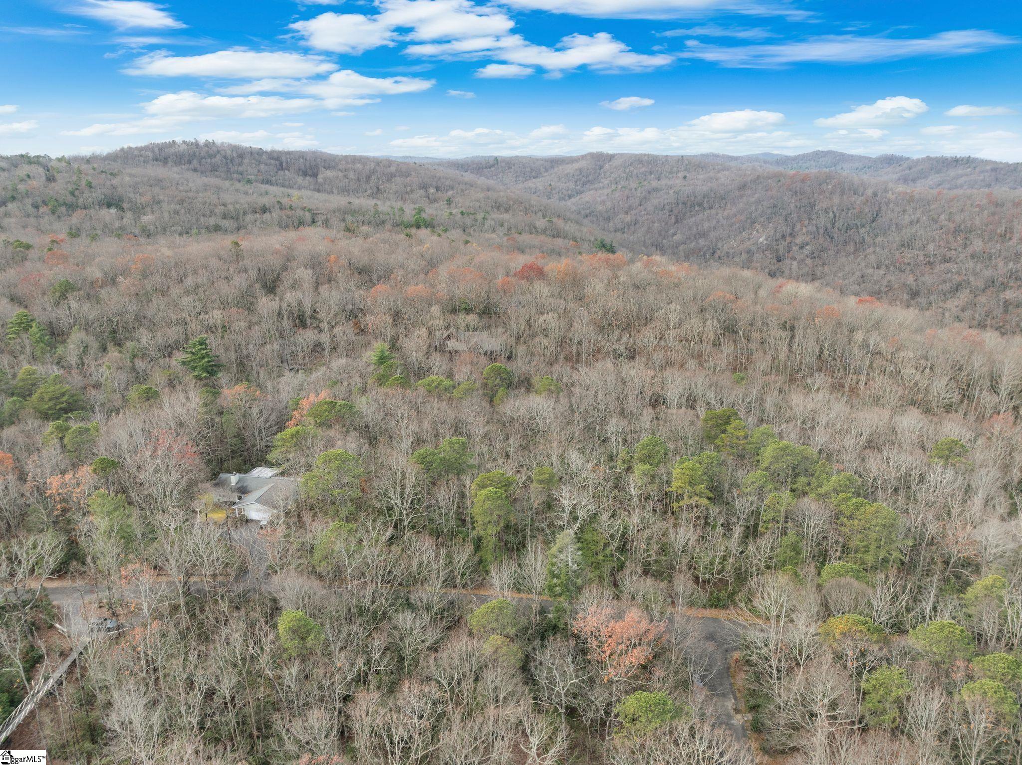 0 Conifer Falls Road Cleveland, SC 29635 - Photo 18 of 23