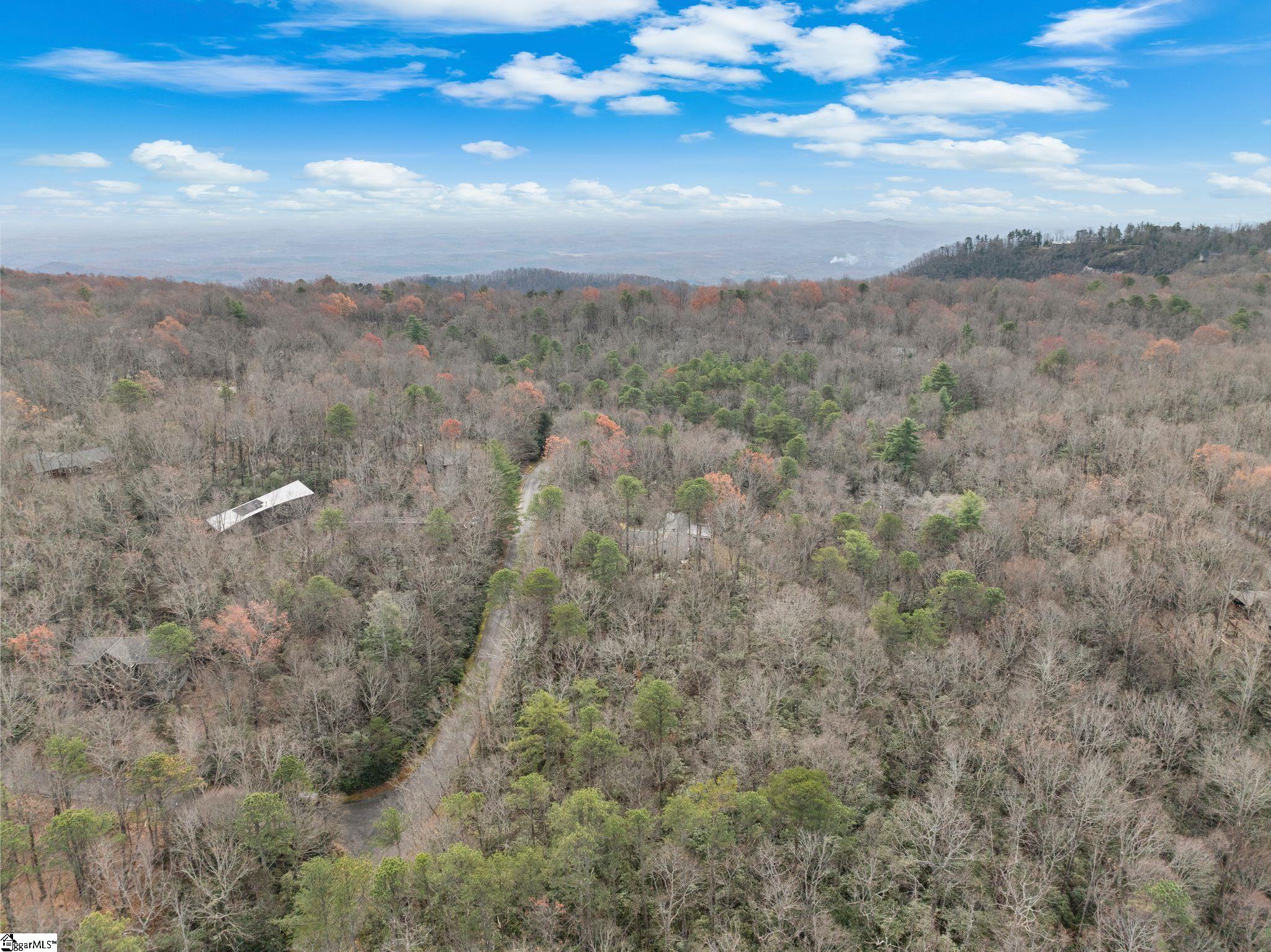 0 Conifer Falls Road Cleveland, SC 29635 - Photo 19 of 23