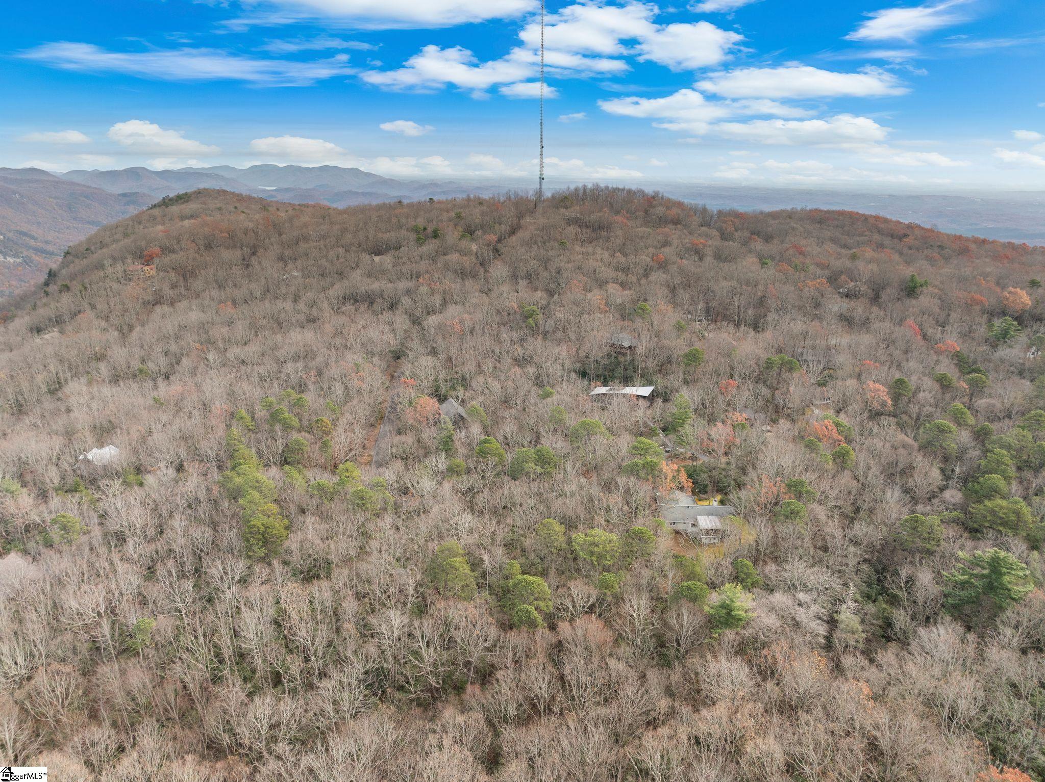 0 Conifer Falls Road Cleveland, SC 29635 - Photo 20 of 23