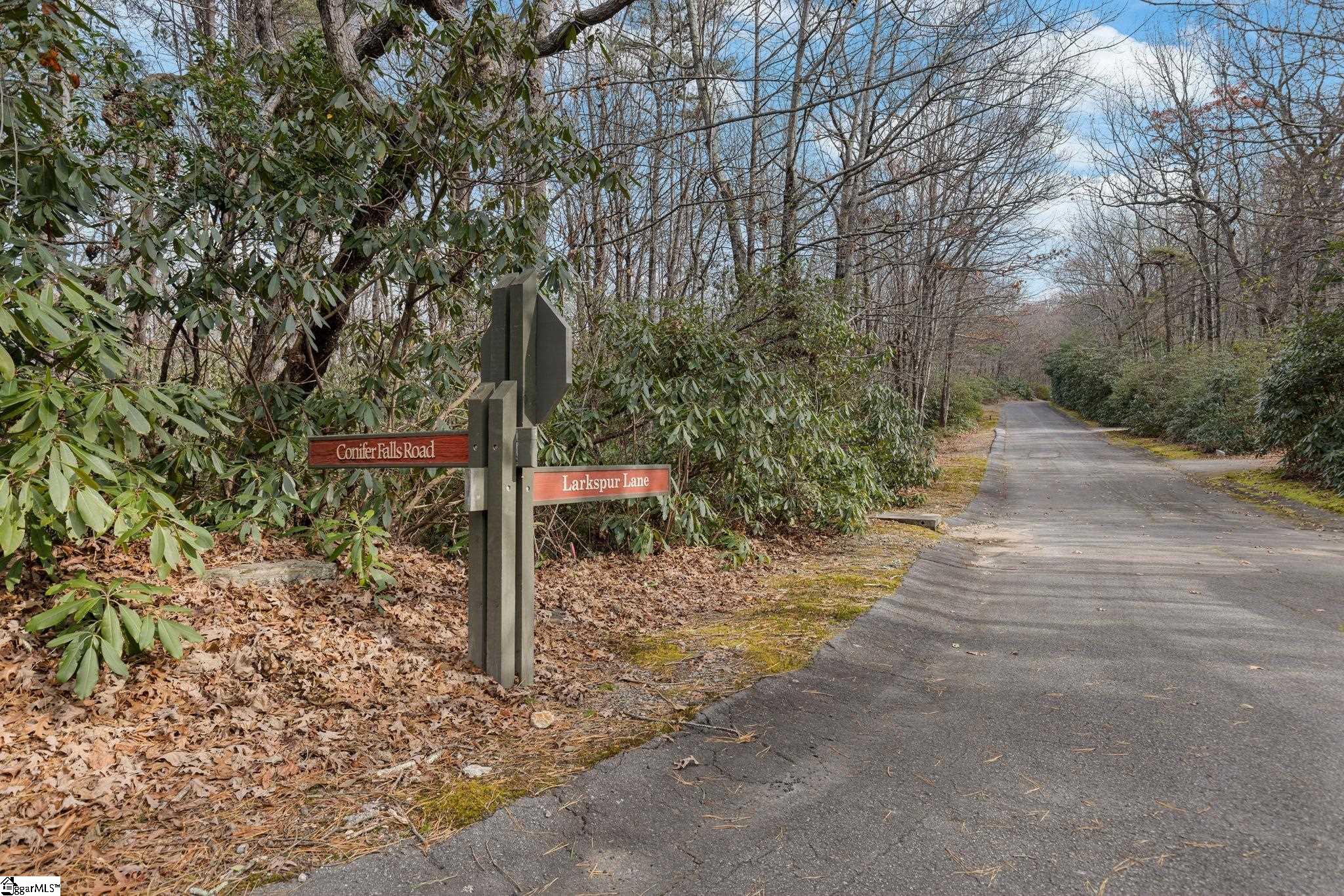 0 Conifer Falls Road Cleveland, SC 29635 - Photo 2 of 23