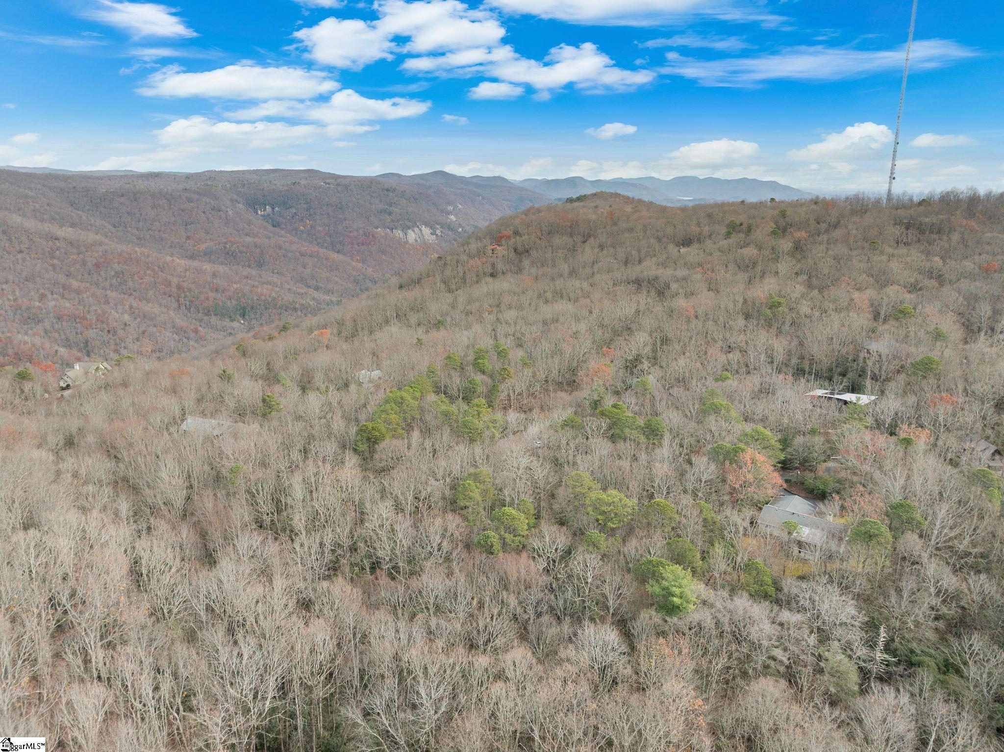 0 Conifer Falls Road Cleveland, SC 29635 - Photo 21 of 23