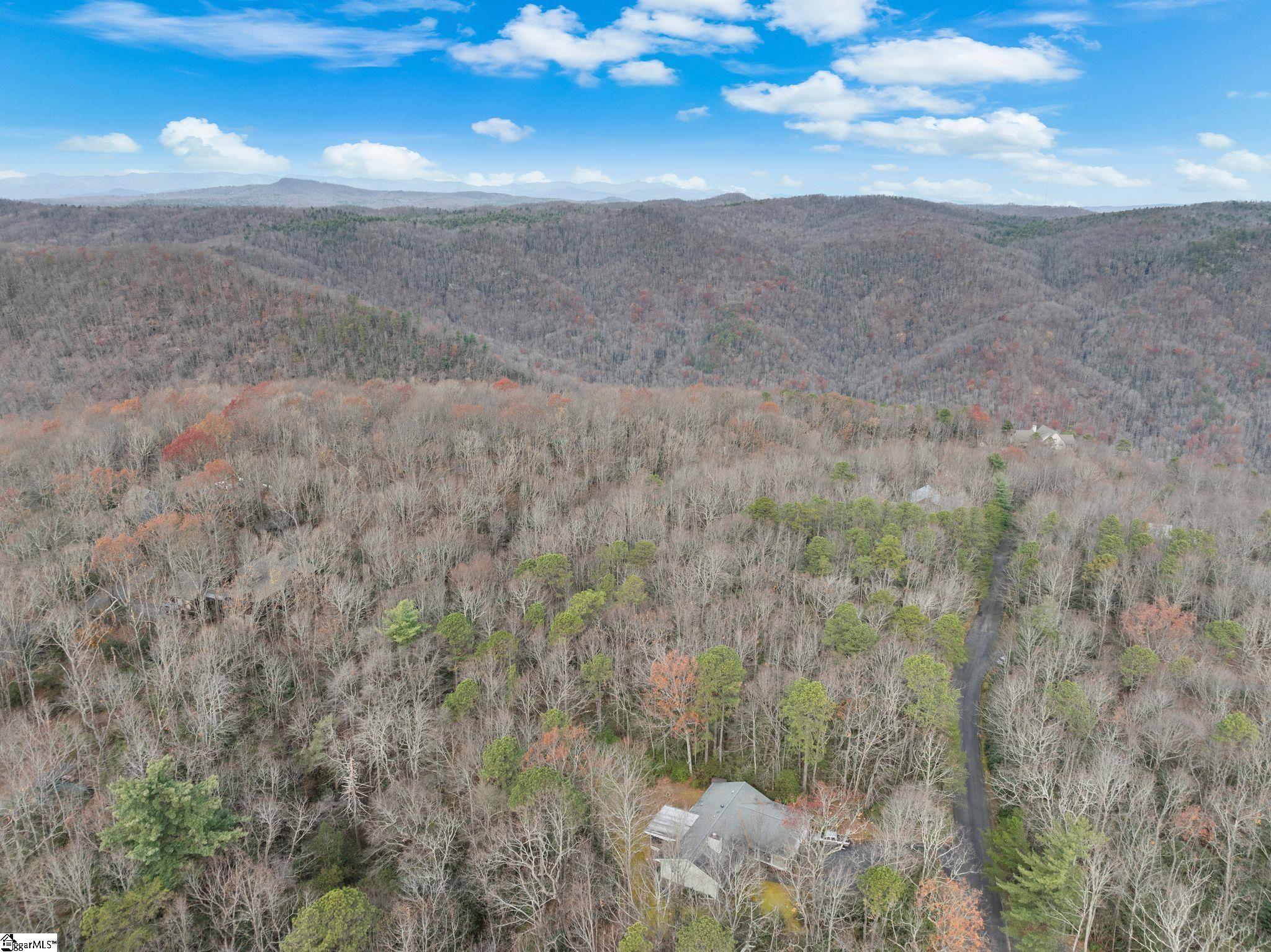 0 Conifer Falls Road Cleveland, SC 29635 - Photo 22 of 23