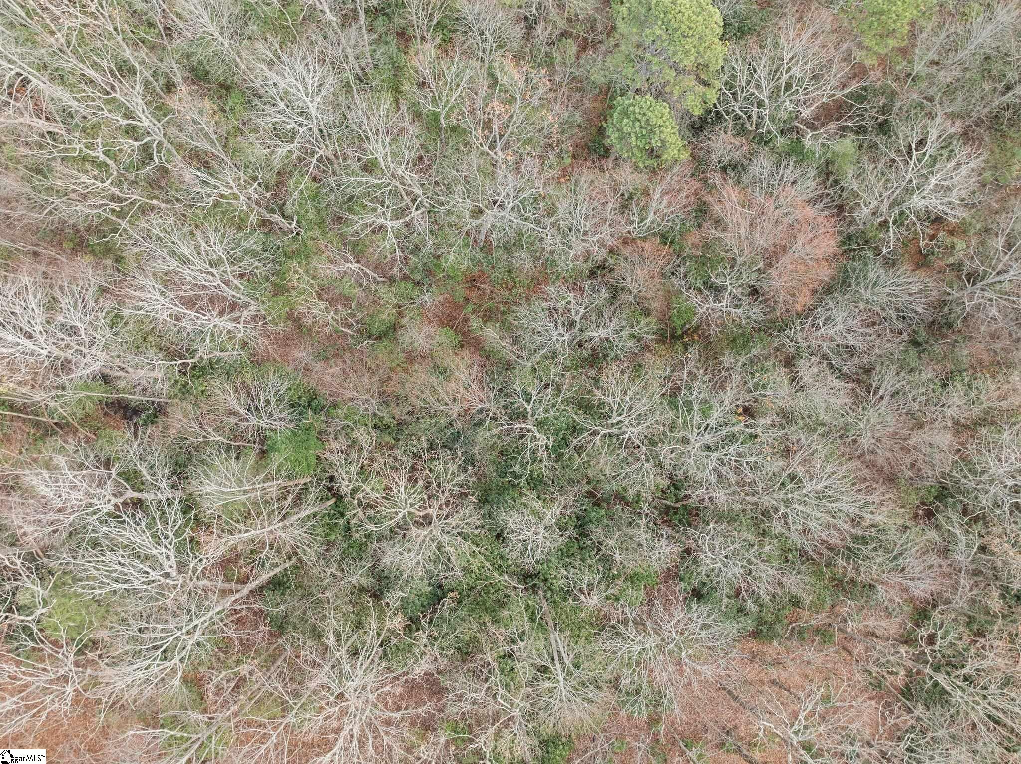 0 Conifer Falls Road Cleveland, SC 29635 - Photo 23 of 23