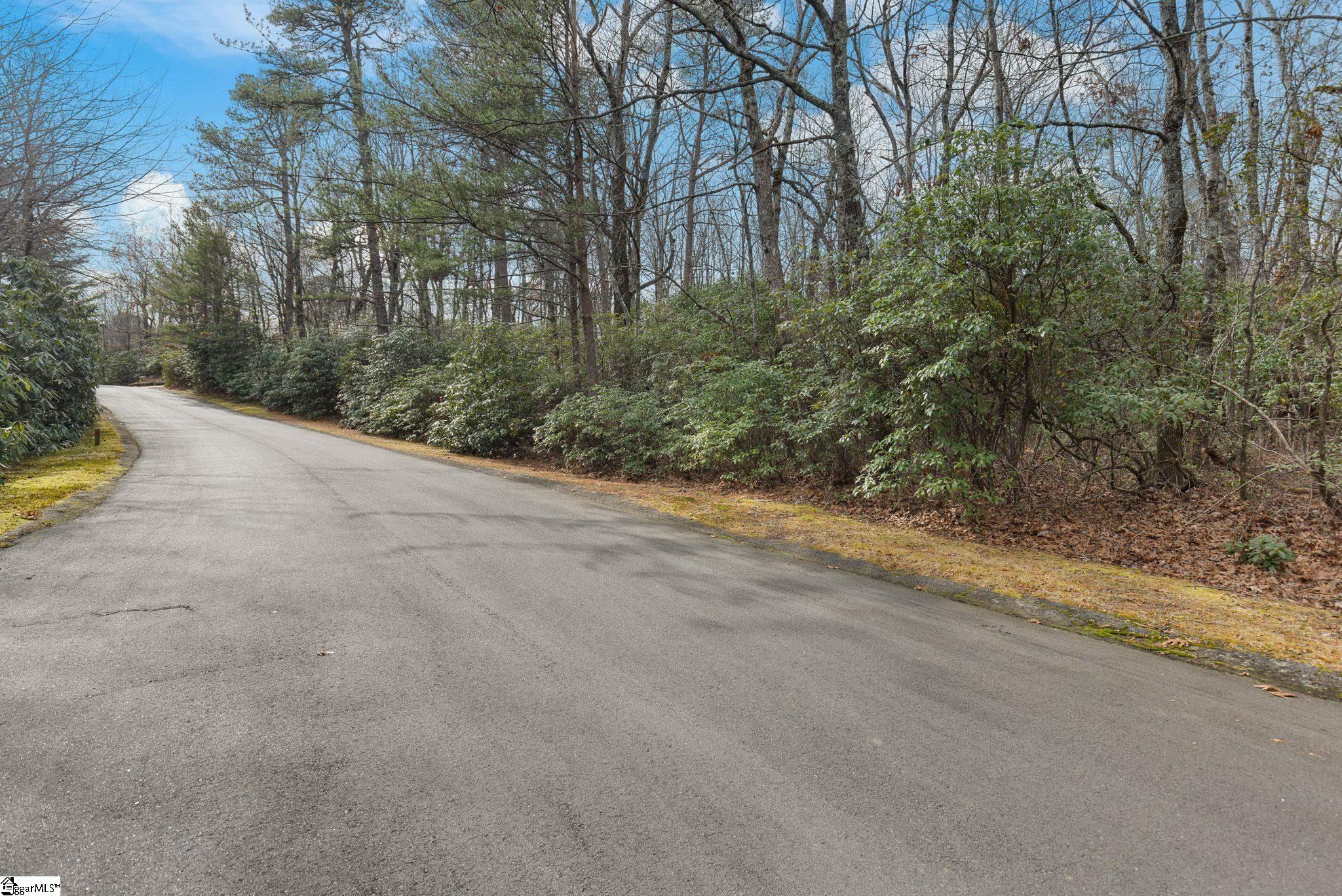 0 Conifer Falls Road Cleveland, SC 29635 - Photo 3 of 23