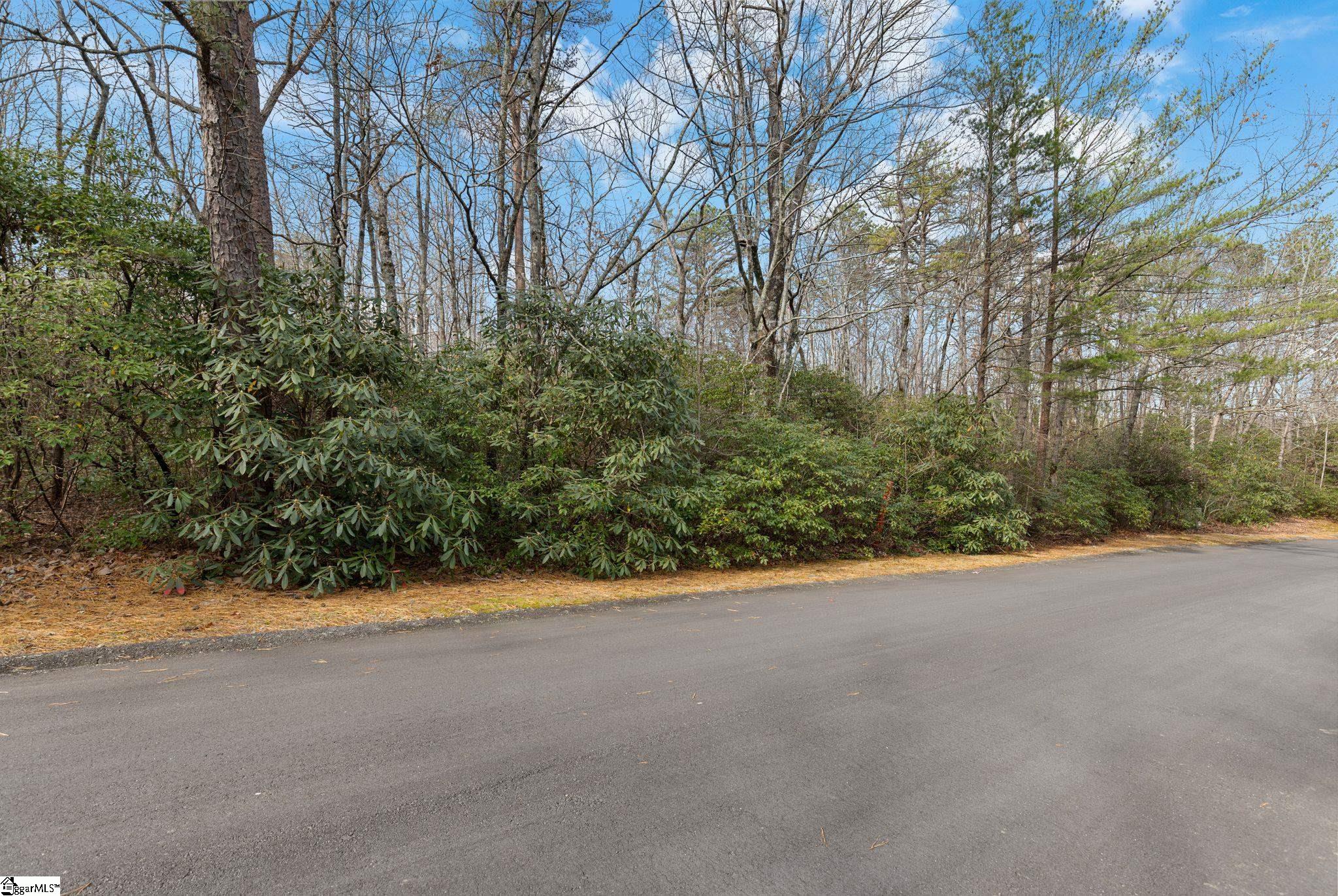 0 Conifer Falls Road Cleveland, SC 29635 - Photo 6 of 23