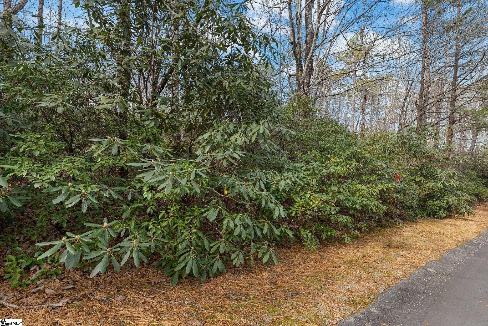 0 Conifer Falls Road Cleveland, SC 29635 - Photo 7 of 23