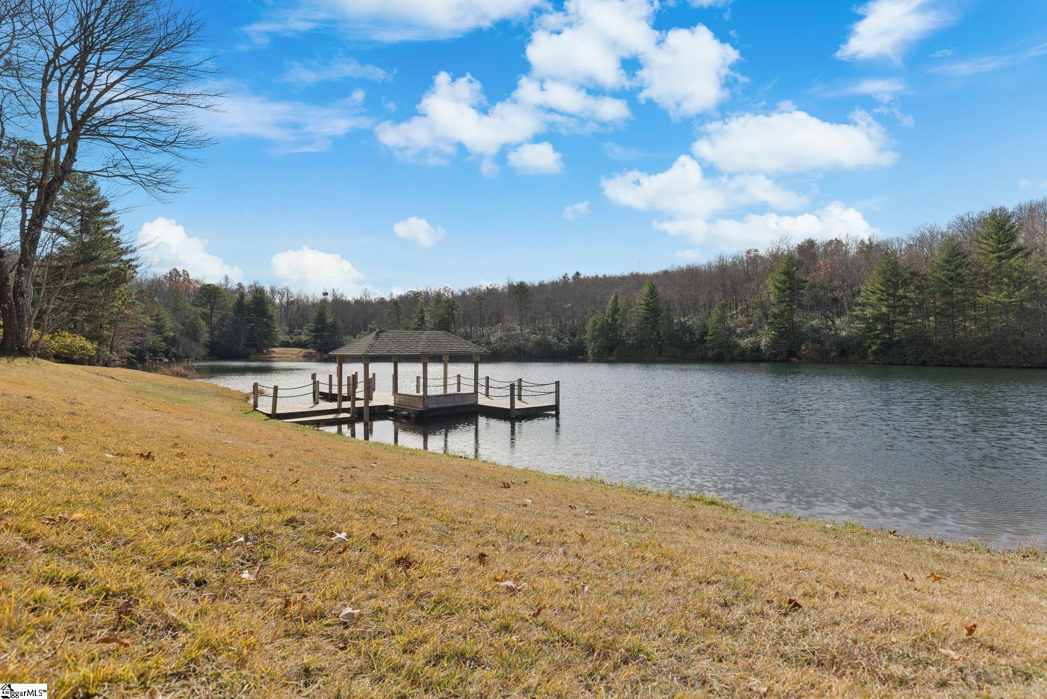 0 Conifer Falls Road Cleveland, SC 29635 - Photo 10 of 23