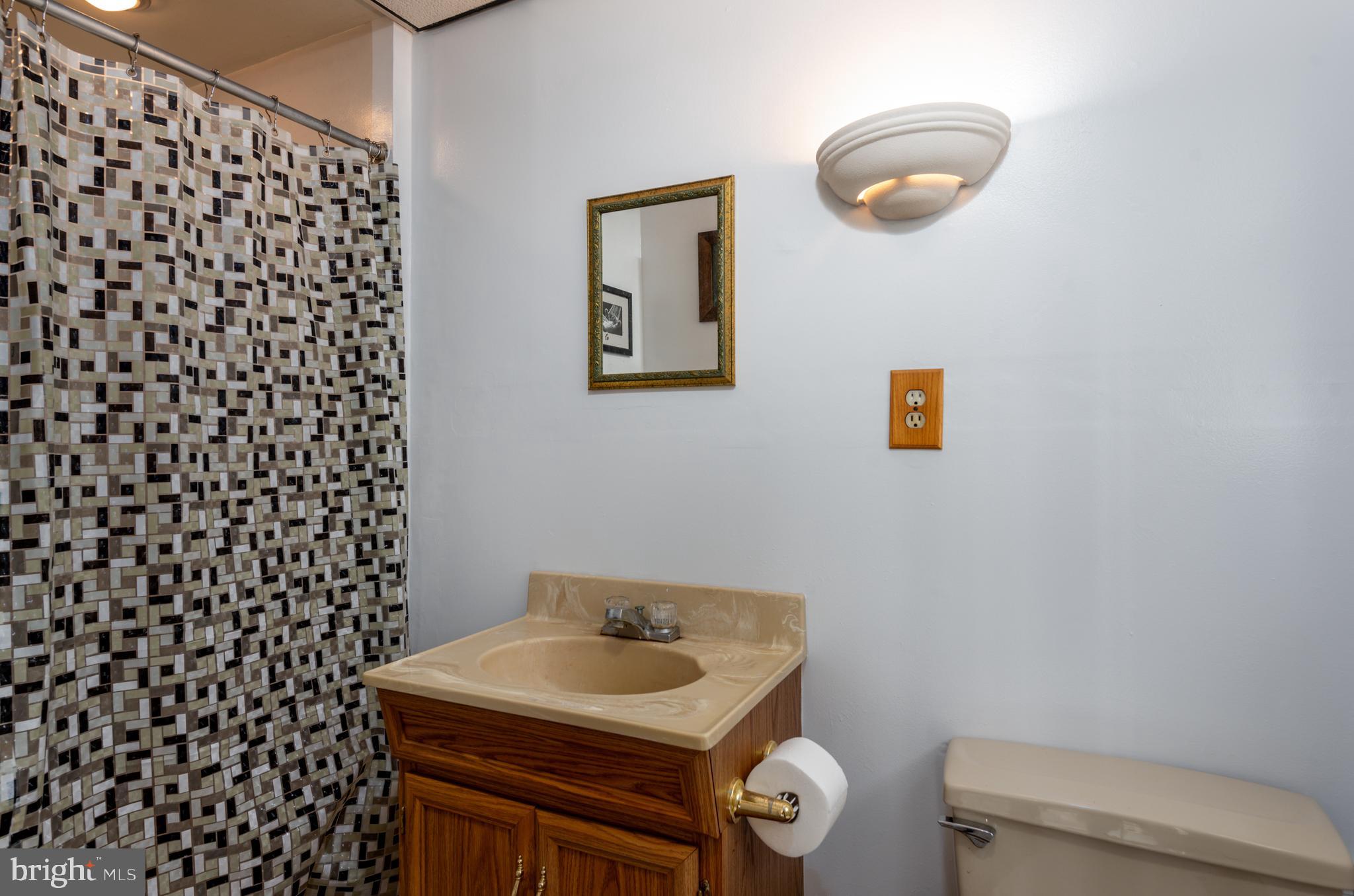 22 Carriage Road New Cumberland, PA 17070 - Photo 23 of 32 Lower Level Full Bathroom
