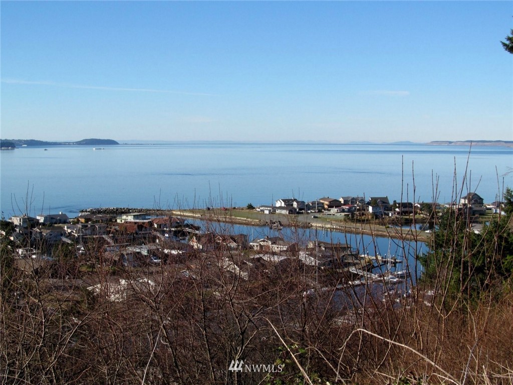 3563 Shell Street Greenbank, WA 98253 - Photo 13 of 15 Gallery Image 13