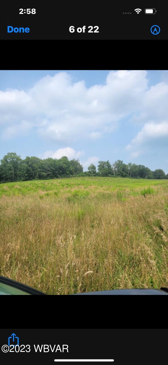 Lycoming Creek Road Cogan Station, PA 17728 - Photo 3 of 5 Gallery Image 3