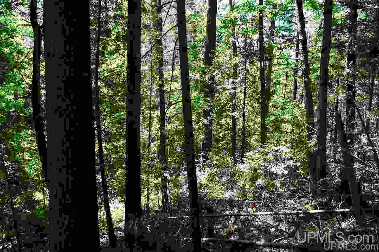 1125 Cooper Lake Road Ishpeming, MI 49849 - Photo 6 of 32