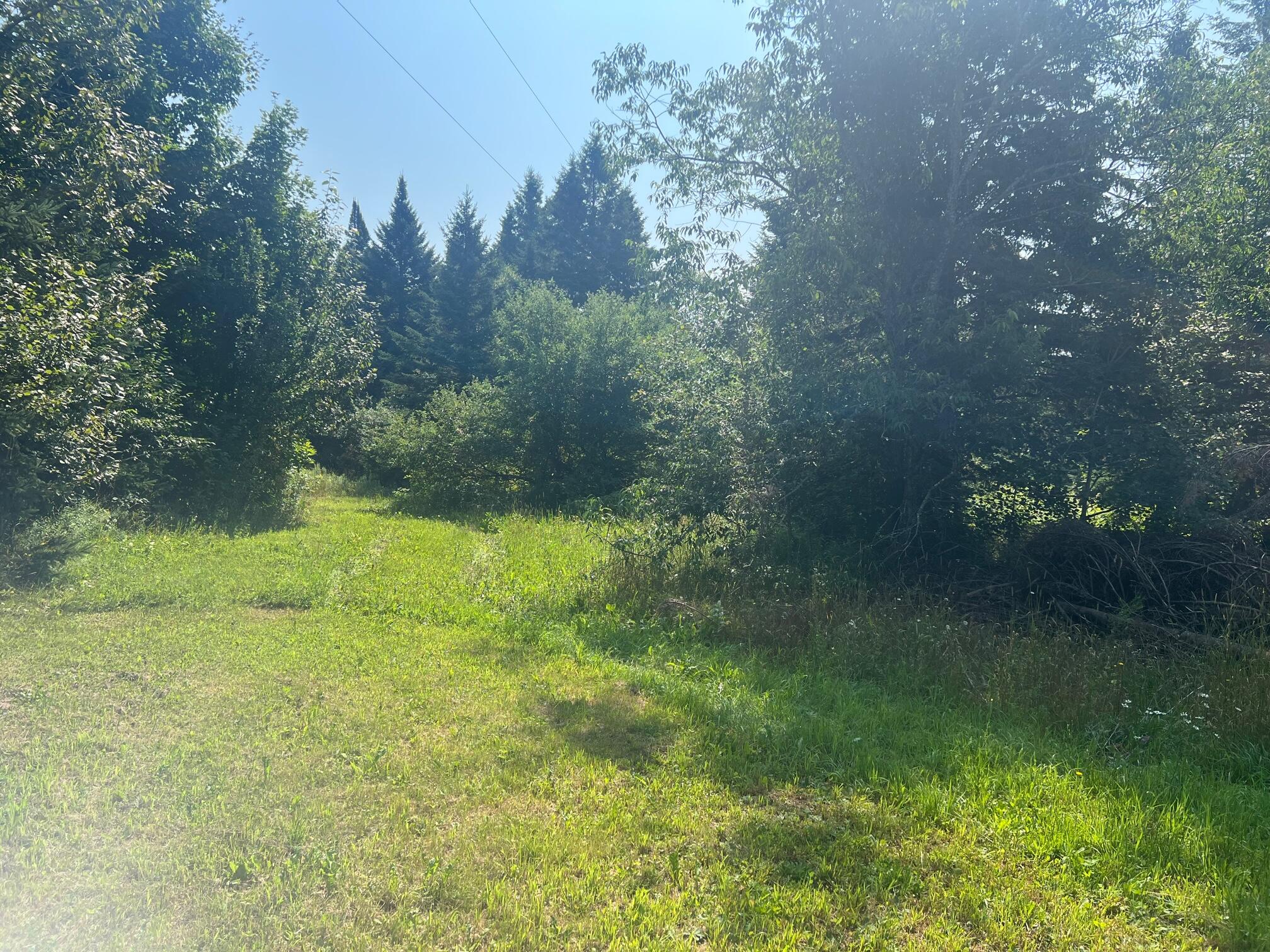 65 Rebel Hill Road Merrill, ME 04780 - Photo 2 of 4 IMG_3376