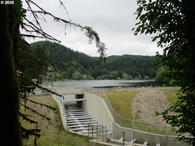 $287,250 | 71250 North Shore Drive, Birkenfeld, OR 97016