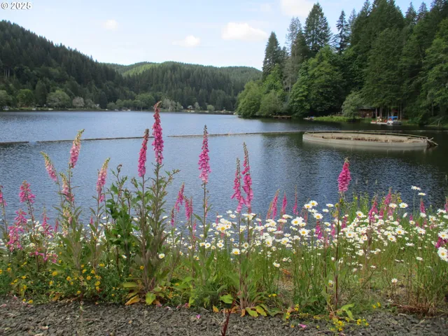 $287,250 | 71250 North Shore Drive, Birkenfeld, OR 97016