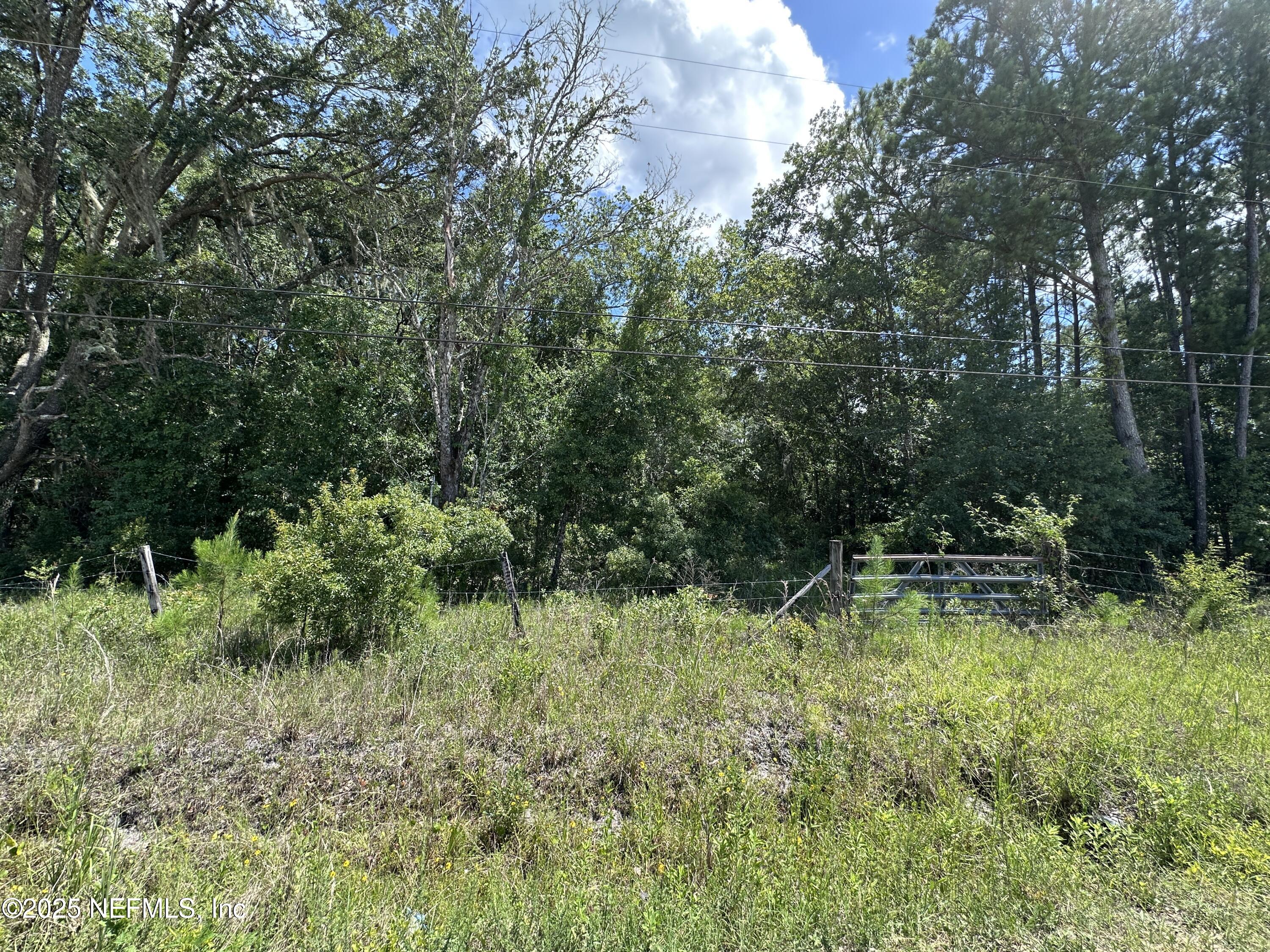0 Jack Wilkinson Road Jacksonville, FL 32234 - Photo 8 of 9 IMG_6251