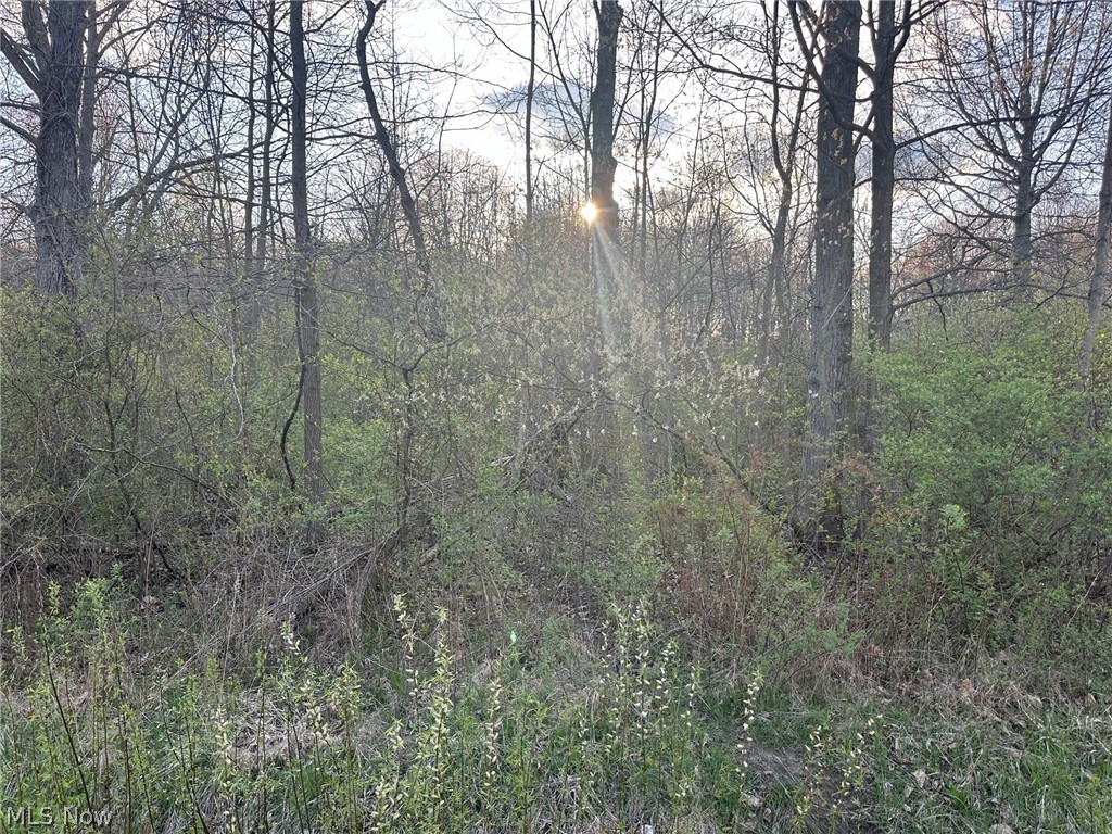 Industry Road Rootstown, OH 44272 - Photo 1 of 5 View of nature