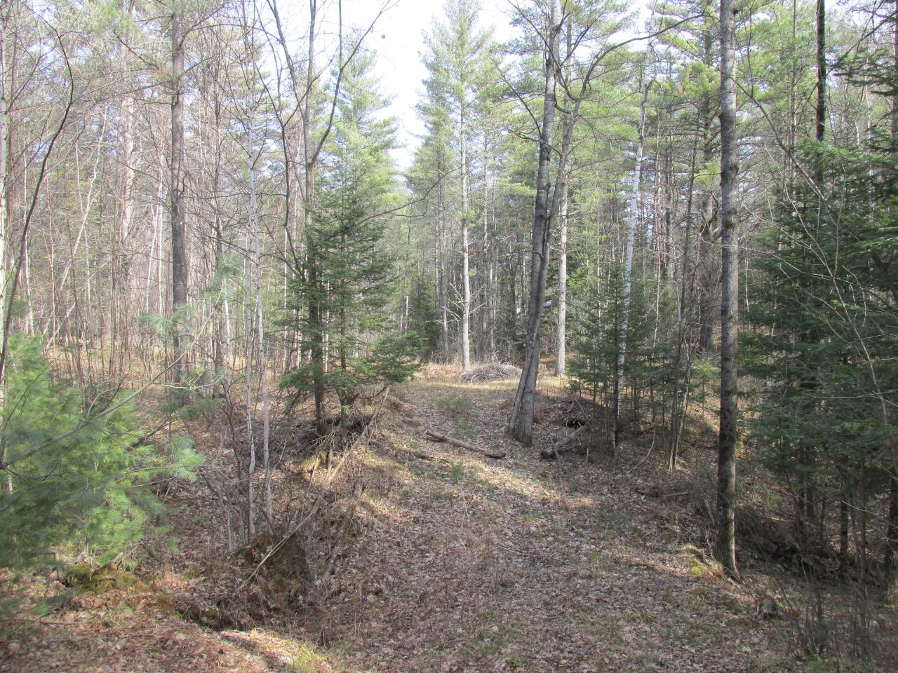 3692 Sterling Drive Rhinelander, WI 54501 - Photo 2 of 9 Gallery Image 2