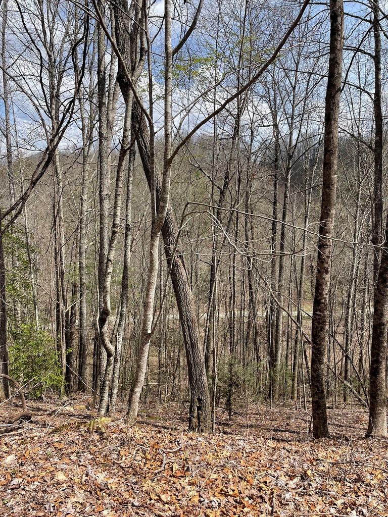 0 Hidden Lakes Road Topton, NC 28781 - Photo 11 of 14