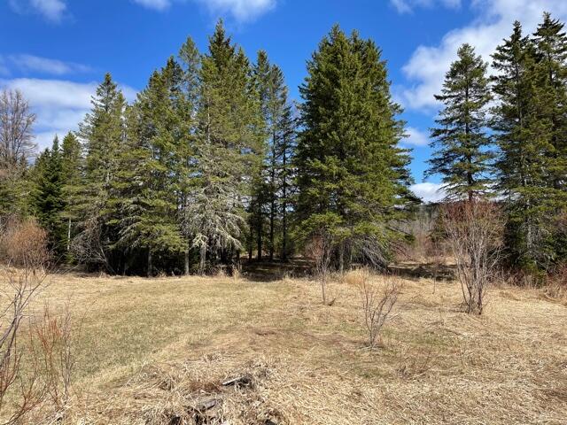 2868 Portage Road Portage, ME 04768 - Photo 9 of 11 IMG_5655