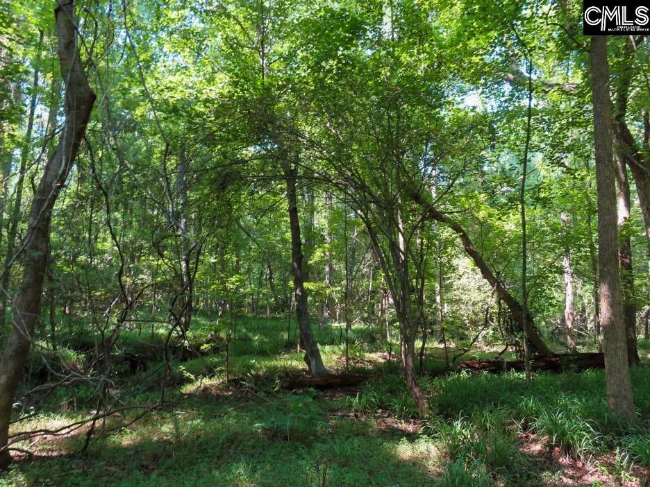 0 Landis Road Winnsboro, SC 29180 - Photo 56 of 83 Gallery Image 56