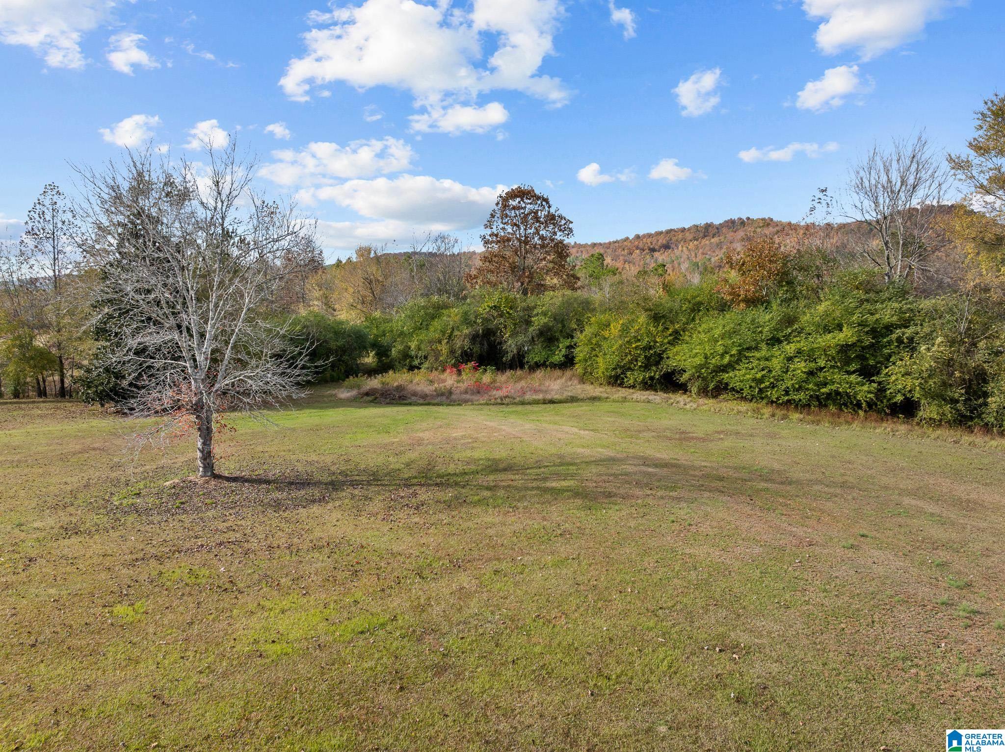 0 Armstrong Road, Unit 2 Ashville, AL 35953 - Photo 3 of 6