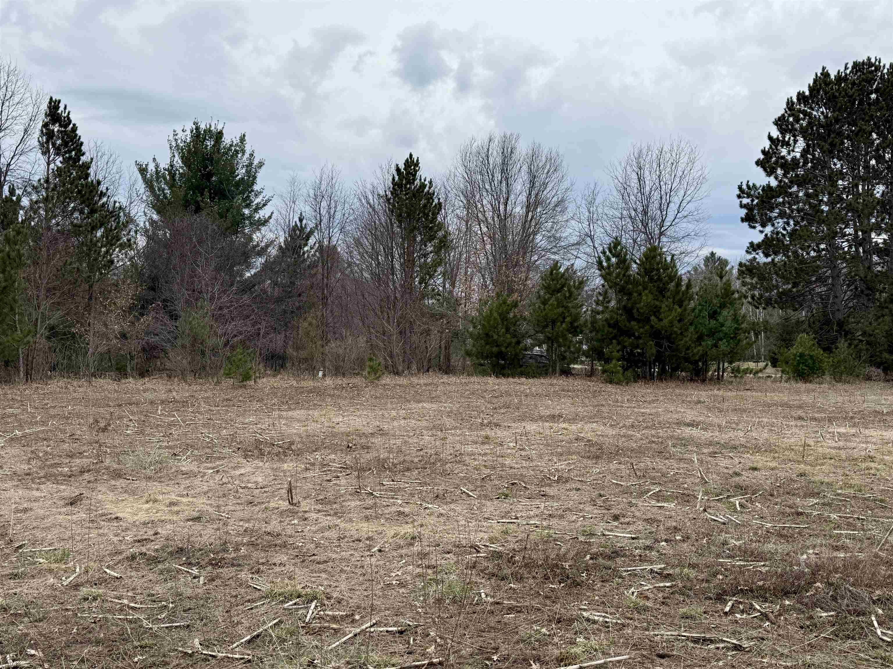 7 Gleaner Hall Road Kingsley, MI 49649 - Photo 8 of 16