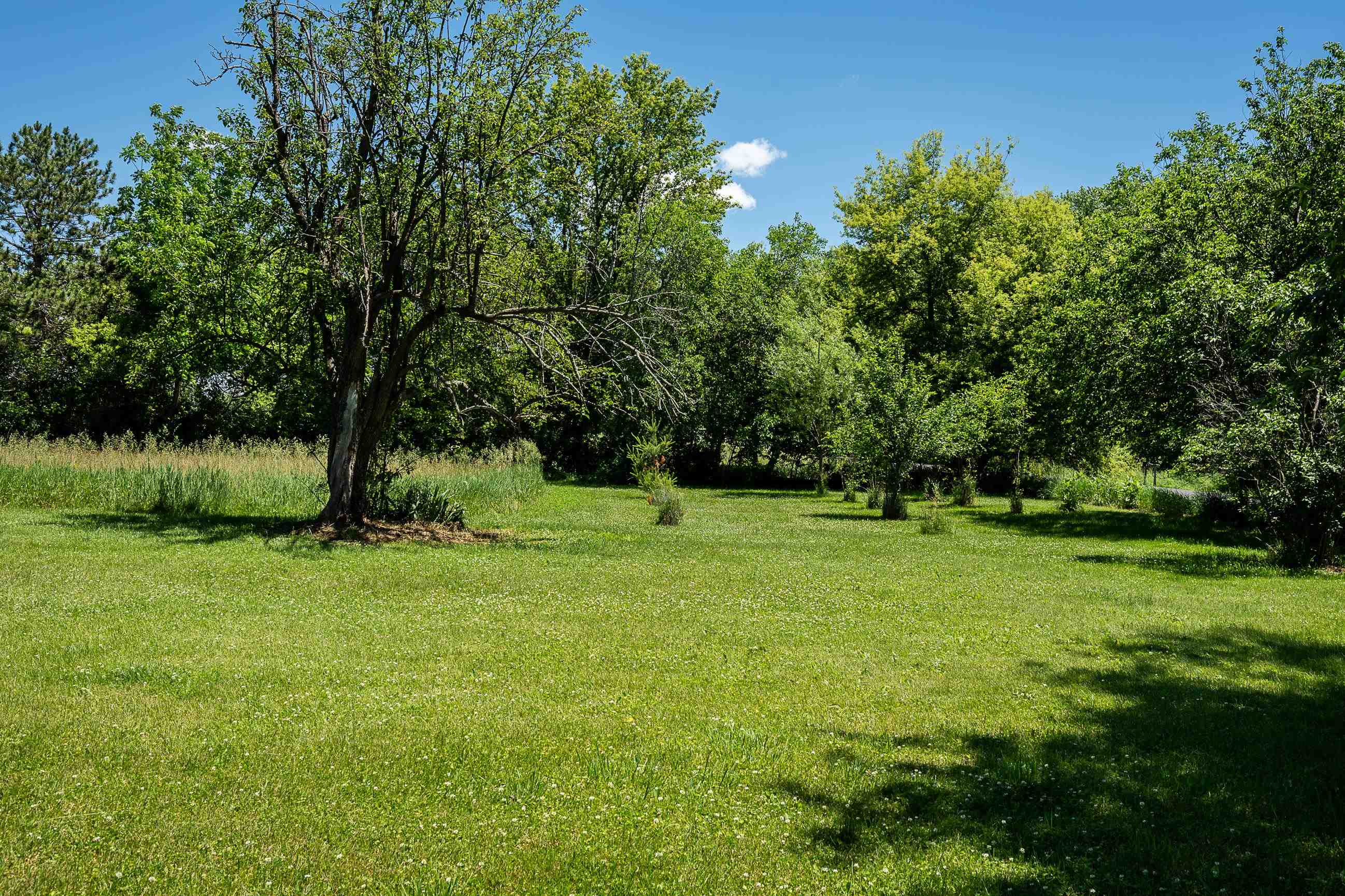 3402 Rutland Dunn Town Line Road Stoughton, WI 53589 - Photo 62 of 88