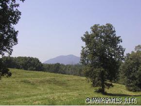 Lot 25 A R Thompson Road, Unit 25 Mill Spring, NC 28756 - Photo 1 of 3