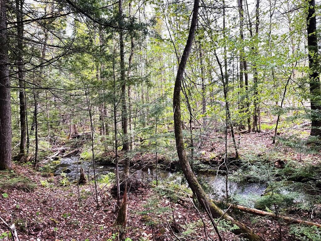 Lot #7 Hammond Brook Road Monson, ME 04464 - Photo 16 of 16