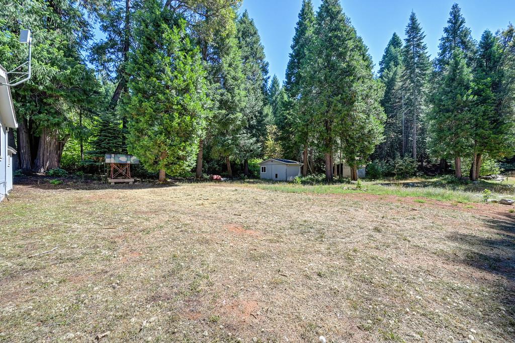 530 Caine Road Alta, CA 95701 - Photo 25 of 77