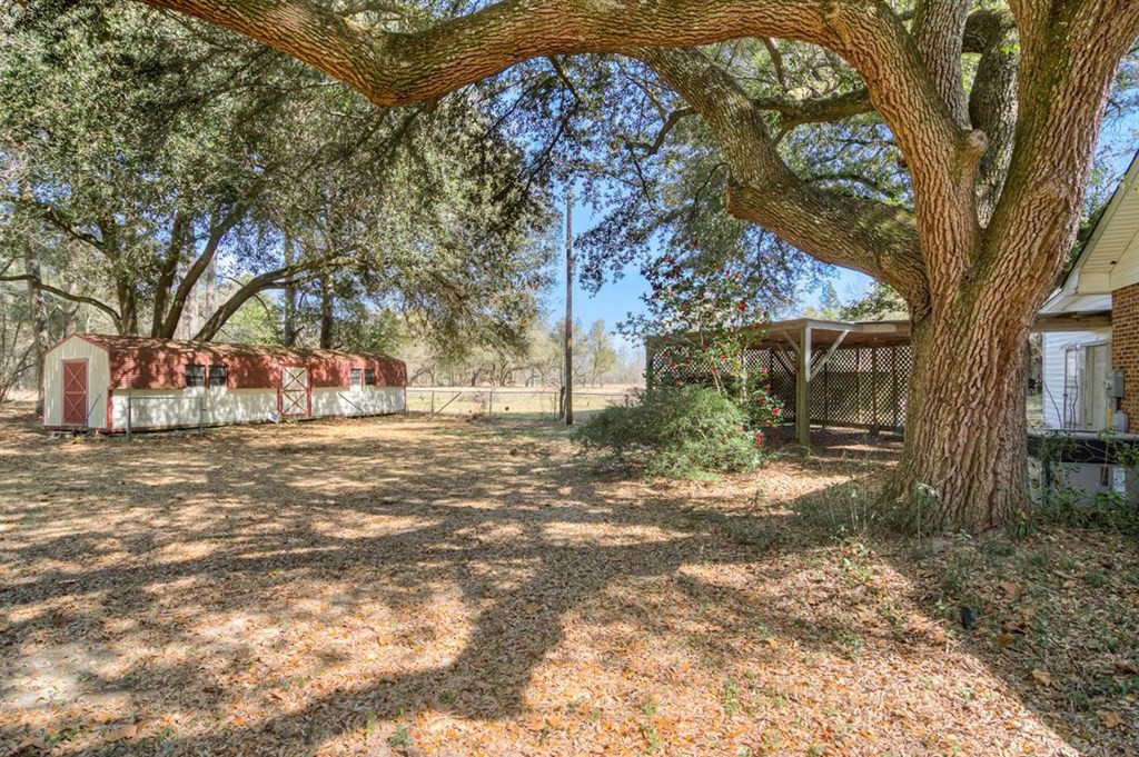 273 Redds Branch Road Aiken, SC 29801 - Photo 32 of 52