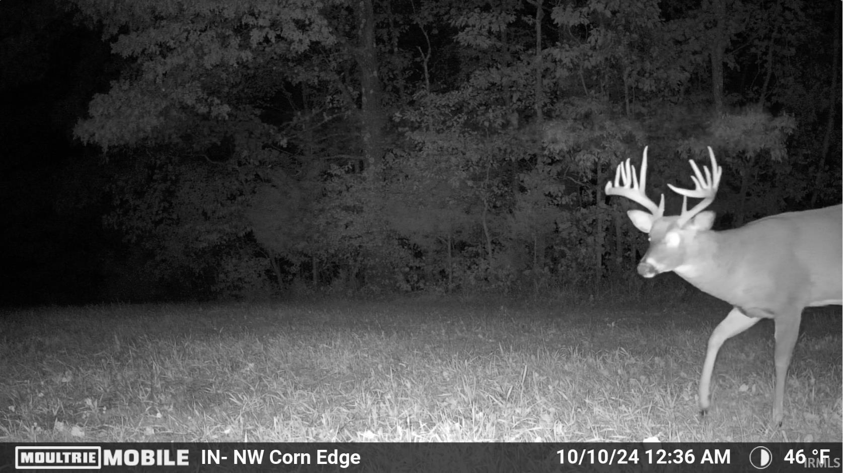 2775 West Burma Road Gosport, IN 47433 - Photo 30 of 36 Gallery Image 30