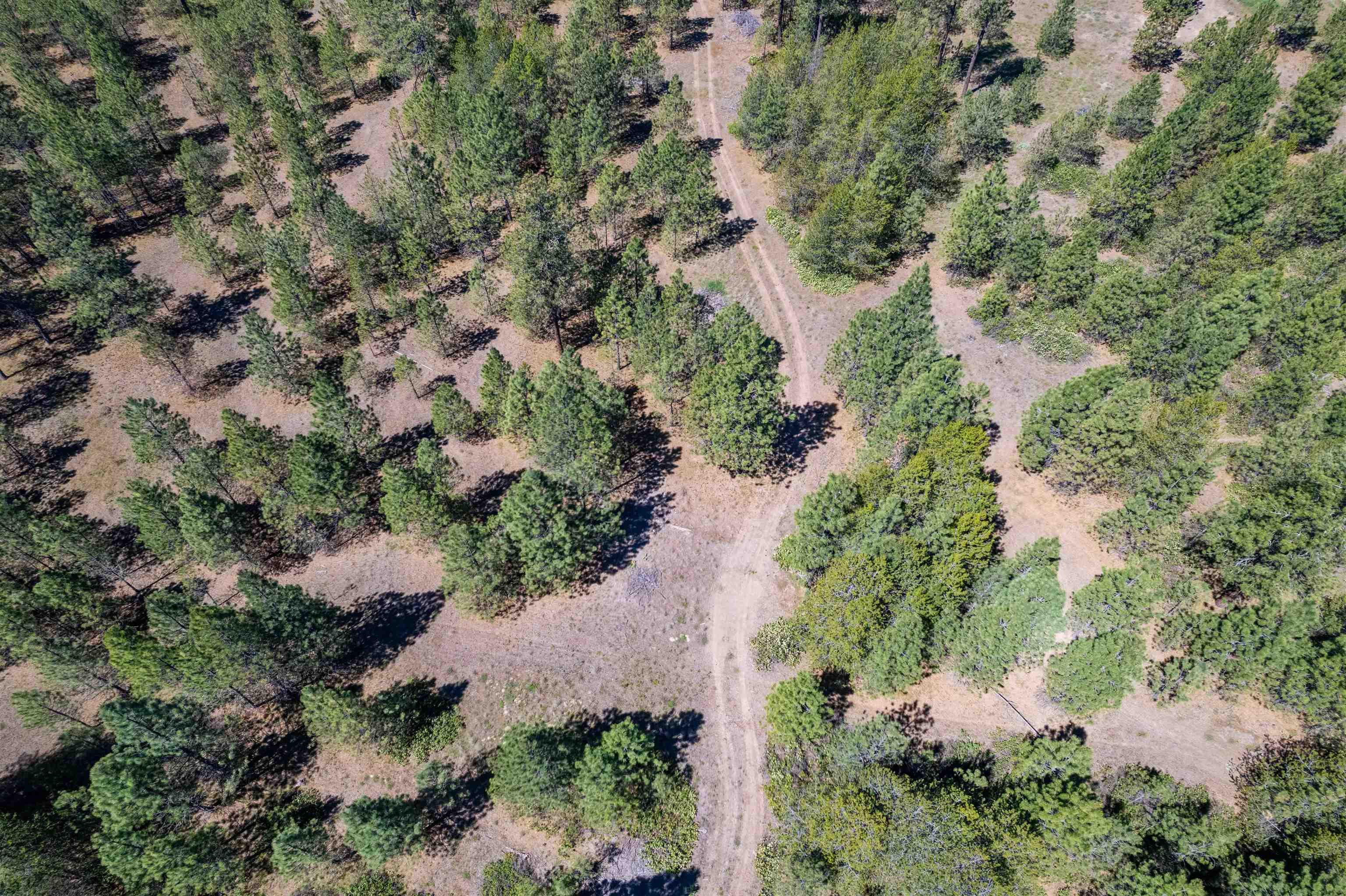 29-xxx North Hardesty Road Chattaroy, WA 99003 - Photo 17 of 40