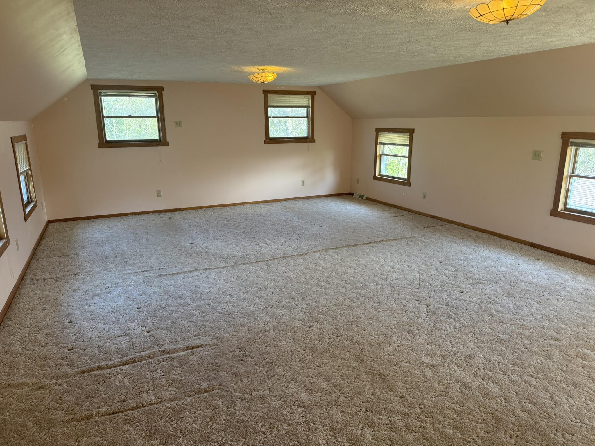 1181 West Stoll Road Dewitt, MI 48820 - Photo 14 of 30 IMG_6964