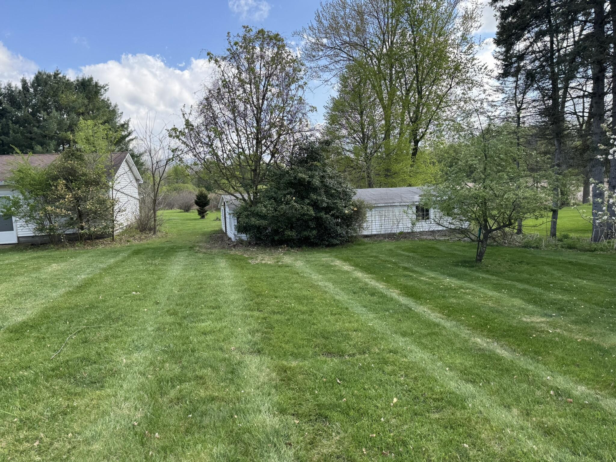 1181 West Stoll Road Dewitt, MI 48820 - Photo 30 of 30 IMG_6918