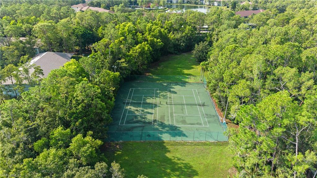 3451 County Barn Road, Unit 203 Naples, FL 34112 - Photo 9 of 28 Tennis court with surrounding green space, bordered by mature trees