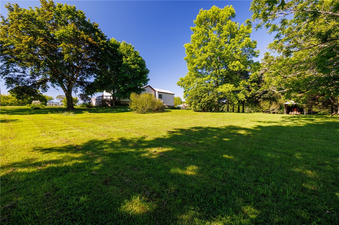 14081 Cramer Road Wolcott, NY 13143 - Photo 17 of 47