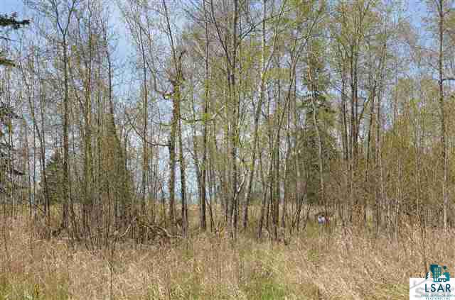1046 East Devries Road Poplar, WI 54864 - Photo 3 of 25