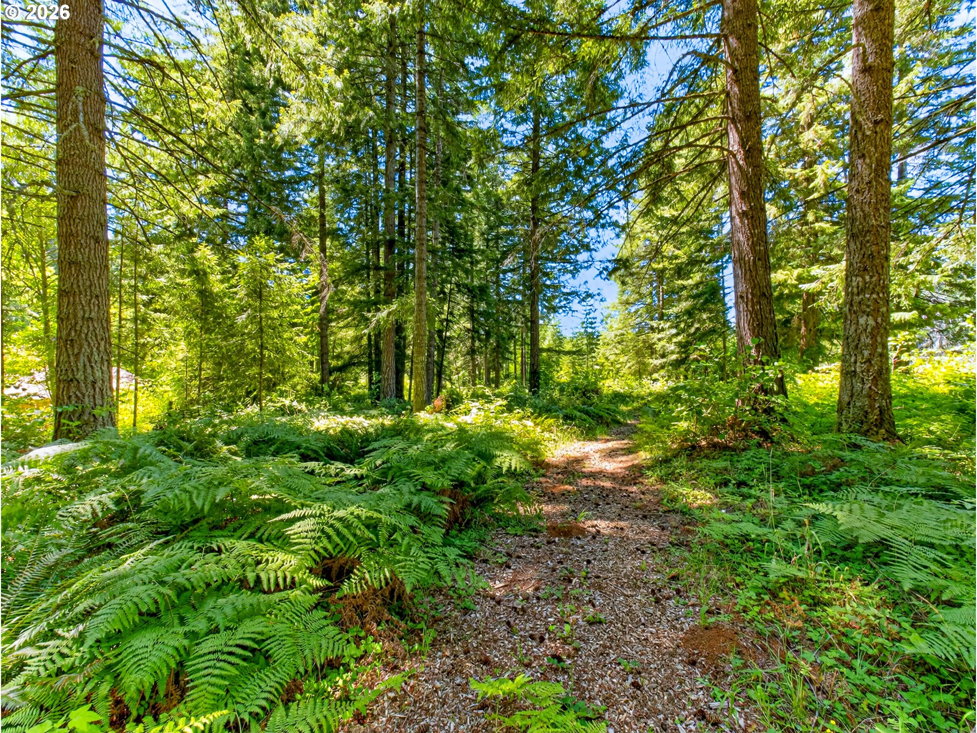 27241 South Pederson Road Estacada, OR 97023 - Photo 39 of 43 Acreage