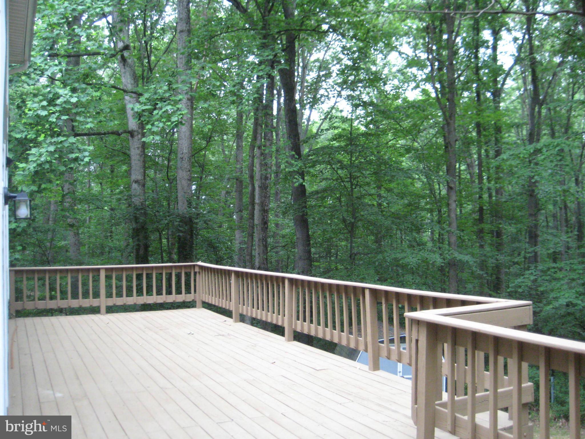 14054 Harrisville Road Mount Airy, MD 21771 - Photo 11 of 12 Private wooded lot with shed for storage