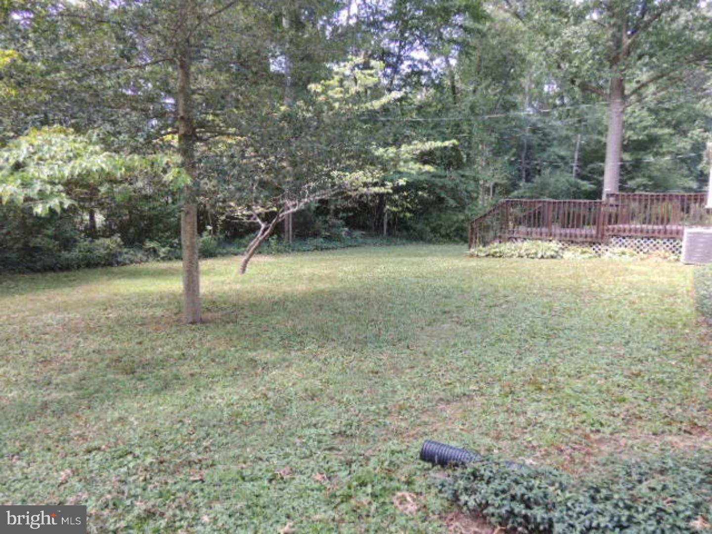 3342 Morningside Road Wilmington, DE 19810 - Photo 3 of 17 Back Yard