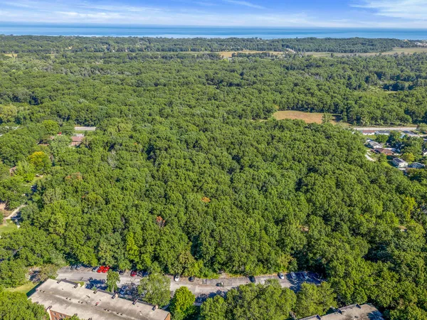 a view of a green field with lots of bushes